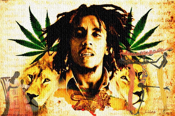 Bob Marley Citation De Bob Marley Sur L Herbe